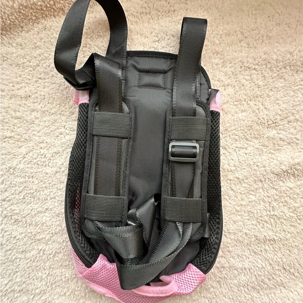 Out Paws Pet wearing harness